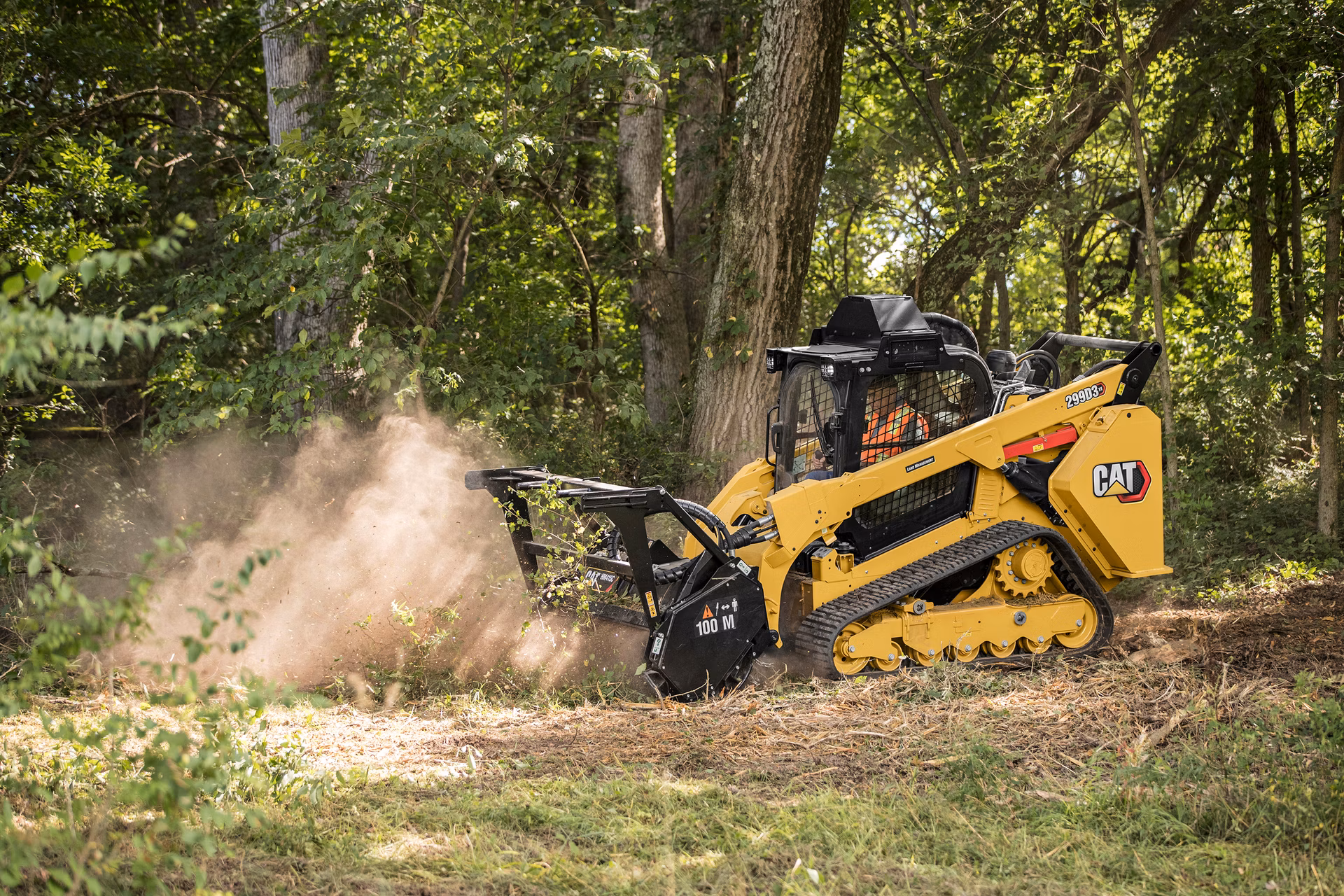 Brush clearing and undergrowth removal in Norman OK